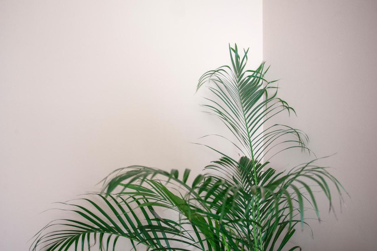 Apartamento Santos Graça Póvoa de Varzim Extérieur photo